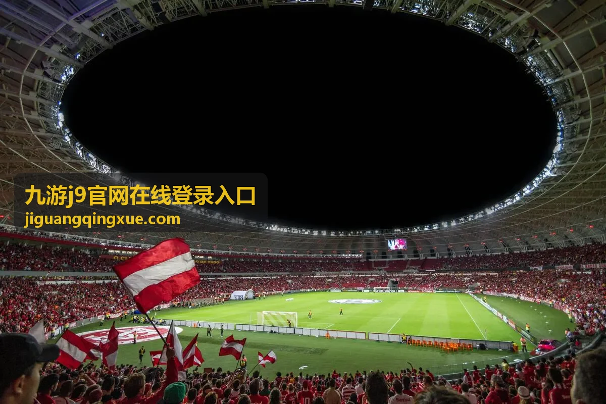 九游j9官网在线登录入口字段与提示说明页面示意