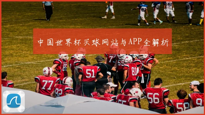 中国世界杯买球网站与APP全解析