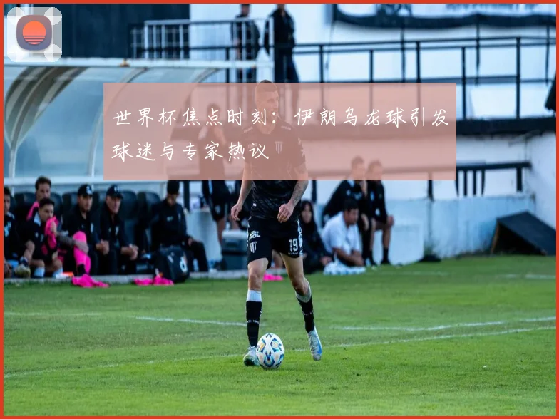 世界杯焦点时刻：伊朗乌龙球引发球迷与专家热议