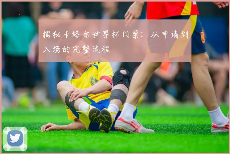 揭秘卡塔尔世界杯门票:从申请到入场的完整流程