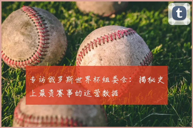 专访俄罗斯世界杯组委会：揭秘史上最贵赛事的运营数据